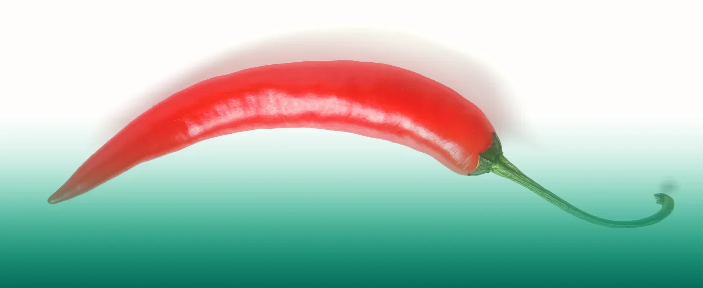 Spicy food and its effects on the body